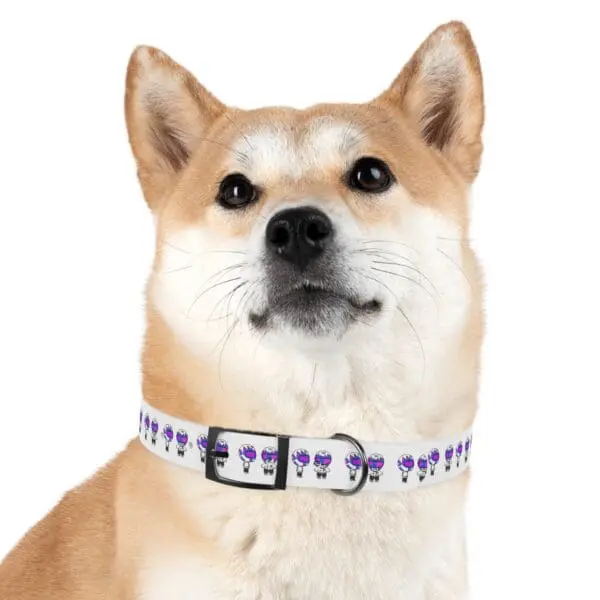 TRIPY DOG COLLAR - Image 42