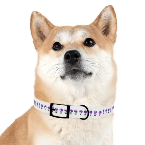 TRIPY DOG COLLAR - Image 15