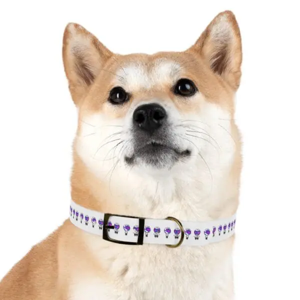 TRIPY DOG COLLAR - Image 24