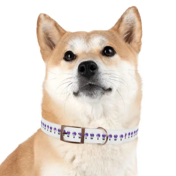 TRIPY DOG COLLAR - Image 21