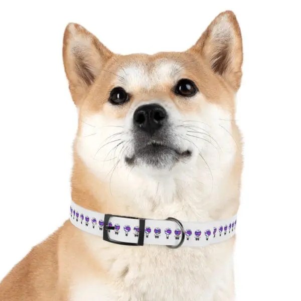 TRIPY DOG COLLAR - Image 18