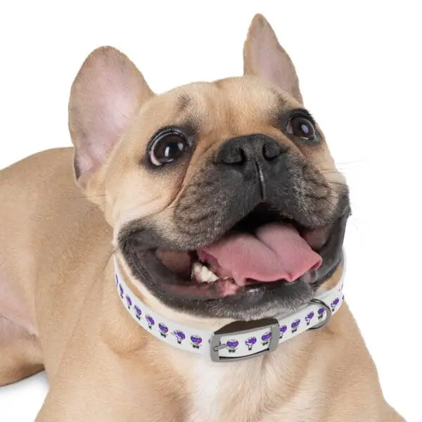 TRIPY DOG COLLAR - Image 6