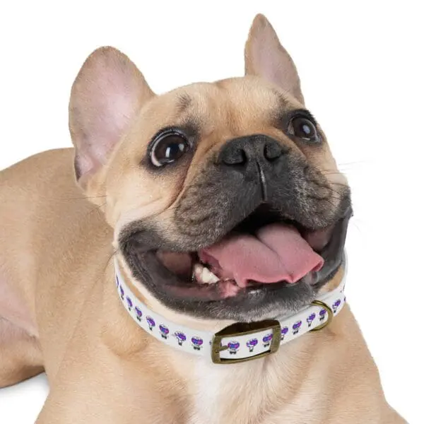 TRIPY DOG COLLAR - Image 12