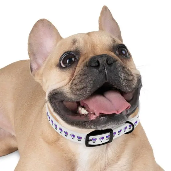 TRIPY DOG COLLAR - Image 3